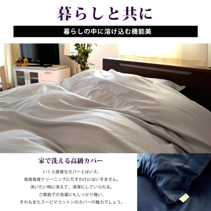 楽天市場】ロマンス小杉 スーピマコットン 超長綿 綿100％ ボックス 