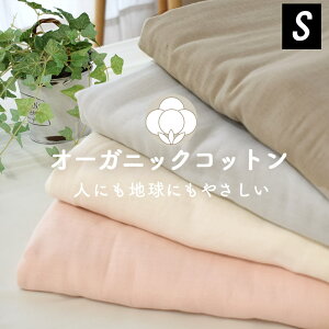 |zcJo[ I[KjbNRbg100 aN 2dK[[ { VOO 150×210 8Xibv{^ TChSJt@Xi[ 100 E VJ[6 _uK[[ _EPb