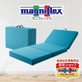 マニフレックス メッシュウィング シングル セミダブル ダブル クイーン セミシングル シングルロング マットレス 10年保証