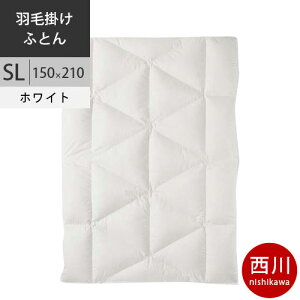  v~A Hъ|ӂƂ |[hzCgO[X93% Hѕzc SL VOO 150×210cm 1.2kg { NP7052 zFW zCg y2024AWz