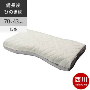 西川 ファインスムース ファインクオリティプレミアム ミニ備長炭パイプ&ひのき枕 70×43cm 日本製 FA6020 配色L 低め 【2021AW】