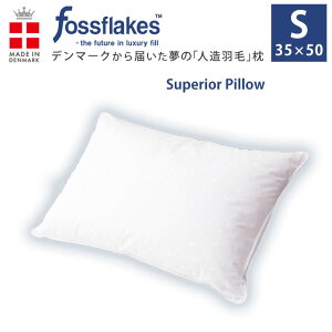 tHXtCNX  35×50cm XyI[s[ X[ 􂦂 |Cg10{