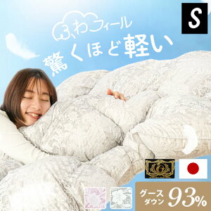 yǋ Hѕzc VO O[X zCgO[X _E93 0.7kg y ̃Lg v~AS[hx _Ep[440dpȏ {| O t H~ |zc H~p { Y 