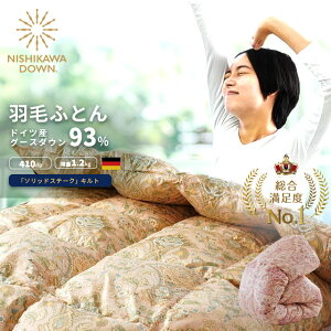  Hѕzc O[X VO  _E93% 1.2kg 150×210 S \bhXe[NLg  hCc zCgO[X  { KL0654