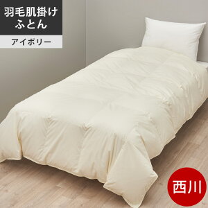  v~A Hъ|ӂƂ VO Z~_u _u NC[ LO W[zCgO[X90% Hѕzc { NP7050 zFIV AC{[ y2024AWz