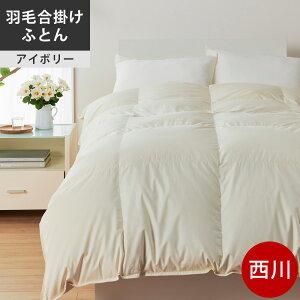  v~A Hъ|ӂƂ VO Z~_u _u NC[ LO |[hzCgO[X90% Hѕzc { NP7051 zFIV AC{[ y2024AWz