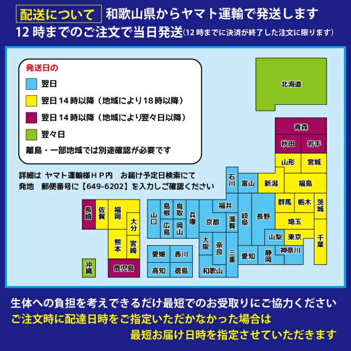 楽天市場】【5匹＋補償1匹】オセロ 夢中めだか様直系 メダカ めだか 