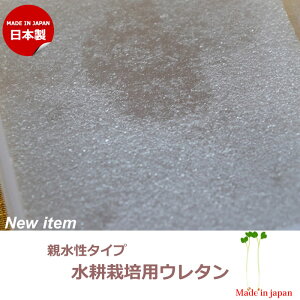 ガーデニング用品 スポンジ 水耕栽培の人気商品 通販 価格比較 価格 Com