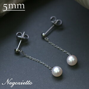 sAX AM[Ή ZJhsAX t@[XgsAX fB[X a v[g XeX316L Lb` sAX VR a (06) Wp[[Ўp]