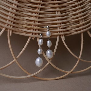 sAX AM[Ή ZJhsAX t@[XgsAX fB[X a v[g XeX316L Lb` sAX VR a (06) Wp[[p]