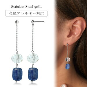 sAX AM[Ή ZJhsAX t@[XgsAX fB[X a v[g XeX316L Lb` sAX VR JCiCg[Ўp]