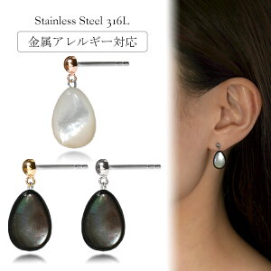 sAX AM[Ή ZJhsAX t@[XgsAX fB[X a v[g XeX316L Lb` sAX VR L[Ўp]