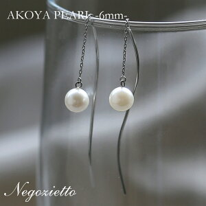 sAX AM[Ή ZJhsAX t@[XgsAX fB[X a v[g XeX316L AJ sAX  `F[ VR a (06) {p[[Ўp]