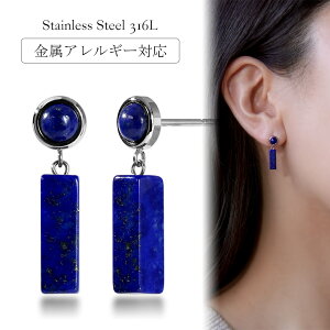 sAX AM[Ή ZJhsAX t@[XgsAX fB[X a v[g XeX316L Lb` sAX VR a (12) sXY[[Ўp]