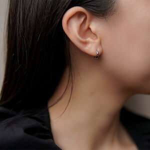 sAX AM[Ή ZJhsAX t@[XgsAX fB[X a v[g XeX316L t[v  ւ ܂ pCv sAX 2×10mm[Ўp]