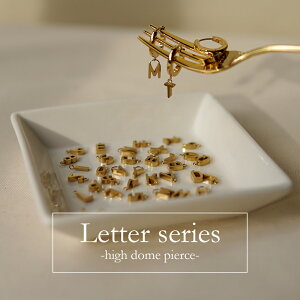 sAX AM[Ή ZJhsAX t@[XgsAX fB[X a v[g XeX316L t[v  ւ ܂ b sAX ^[V[Y[Ўp]