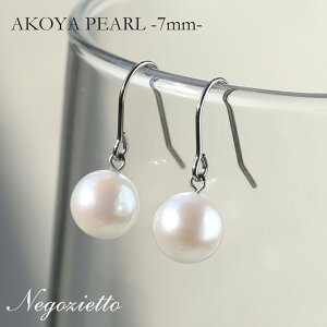 sAX AM[Ή ZJhsAX t@[XgsAX fB[X a v[g XeX316L tbN C[tbN sAX VR a (06) {p[[Ўp]