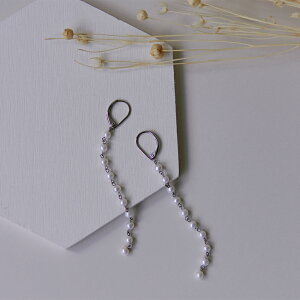 sAX AM[Ή ZJhsAX t@[XgsAX fB[X a v[g XeX316L tbN W[}tbN sAX VR a (06) Wp[[Ўp]