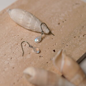 sAX AM[Ή ZJhsAX t@[XgsAX fB[X a v[g XeX316L tbN C[tbN sAX VR a (06) [Xg[[p]