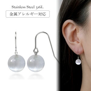 sAX AM[Ή ZJhsAX t@[XgsAX fB[X a v[g XeX316L tbN C[tbN sAX VR ZiCg[p]