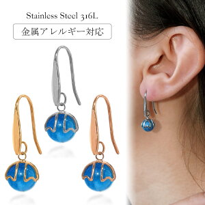 sAX AM[Ή ZJhsAX t@[XgsAX fB[X a v[g XeX316L tbN ECOtbN sAX VR u[Ap^Cg[p]