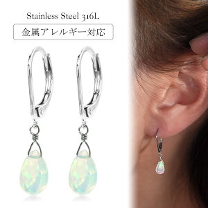 sAX AM[Ή ZJhsAX t@[XgsAX fB[X a v[g XeX316L tbN W[}tbN sAX VR a (10) Ip[[Ўp]