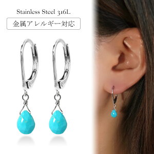 [Vs̔20%OFF]sAX AM[Ή ZJhsAX t@[XgsAX fB[X a v[g XeX316L tbN W[}tbN sAX VR a (12) gR