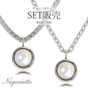 lbNX AM[Ή y_g fB[X a v[g XeX316L lbN WGF 43cm t[ `F[ VR a (06) [Xg[