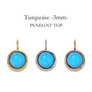 y_ggbv AM[Ή ygbv fB[X a v[g XeX316L gbv VR a (12) gR