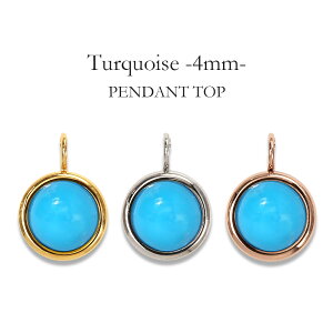 y_ggbv AM[Ή ygbv fB[X a v[g XeX316L gbv VR a (12) gR