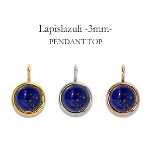 y_ggbv AM[Ή ygbv fB[X a v[g XeX316L gbv VR a (12) sXY[