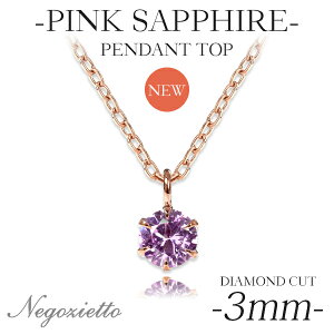 y_ggbv AM[Ή ygbv fB[X a v[g XeX316L gbv VR a (09) sNTt@C