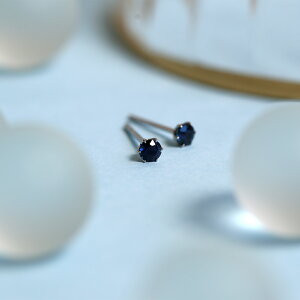 sAX AM[Ή ZJhsAX t@[XgsAX fB[X a v[g XeX316L Lb` X^bh sAX VR a (09) Tt@C[p]