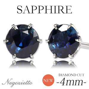 sAX AM[Ή ZJhsAX t@[XgsAX fB[X a v[g XeX316L Lb` X^bh sAX VR a (09) Tt@C[Ўp]