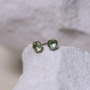 sAX AM[Ή ZJhsAX t@[XgsAX fB[X a v[g XeX316L Lb` X^bh sAX VR a (09) O[Tt@C[p]