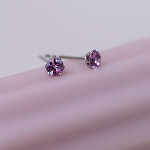 sAX AM[Ή ZJhsAX t@[XgsAX fB[X a v[g XeX316L Lb` X^bh sAX VR a (09) sNTt@C[p]