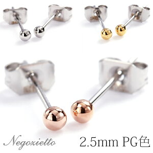 sAX AM[Ή ZJhsAX t@[XgsAX fB[X a v[g XeX316L Lb` X^bh sAX ۋ 2.5mm[p]