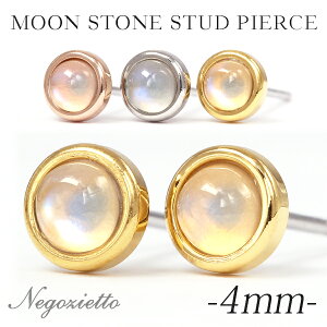 sAX AM[Ή ZJhsAX t@[XgsAX fB[X a v[g XeX316L Lb` X^bh sAX VR a (06) [Xg[[Ўp]