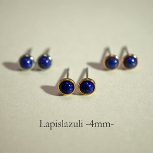 sAX AM[Ή ZJhsAX t@[XgsAX fB[X a v[g XeX316L Lb` X^bh sAX VR a (12) sXY[[p]