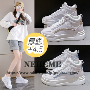 Xj[J[ fB[X  nCJbg  y b L ^C V[Y Cq[Xj[J[ r lC yXb| nCq[ C V[Nbgu[c gAbv  Ռ