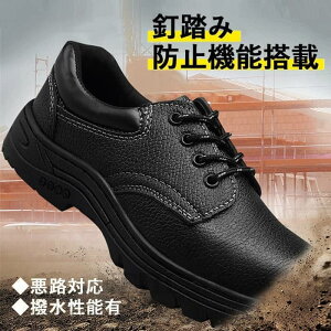 SC ƌC  Y Z[teB[V[Y ɂ Xj[J[ Z[teB[V[Y V[Y |c ܐی X|[cV[Y [Jbg h SV[Y 