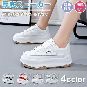 Xj[J[ fB[X X|[cV[Y C V[Y ~ h r r ₷ Ȃ ɂȂ ʋC Vv ʋ ʊw  