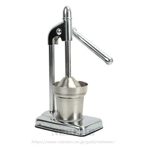 ƒp nhW[T[ 蓮 W[T[ IW/i 304XeX|