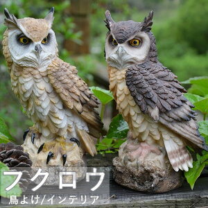 tNE 悯 悯 ΍ {  hhb΍ JX΍ h 悯ObY u I[ig  fBXvC  N K[fjO  K[f x_ O 