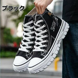 V[NbgV[Y  gAbv10cm up10cm wȂ Y Xj[J[ V[NbgV[Y Cq[ K JWAV[Y 