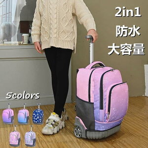 bNTbN L[P[X g[ g[P[X 2in1 h ֗ e 킢  w  ʊw s g[ w X[cP[X q  Z j̎q ̎q