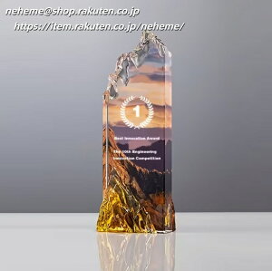 �N���X�^���g���t�B�[ 20th ANNIVERSARY turning point CUP���s�ψ��� ���ψ��� ���ӏ� ���� ���� ��� �_�� ��1�� FATHERS CUP BEACH VOLLEYBALL MVP �D�� SAKURA �T�b�J�[�t�F�X�e�B�o�� �㉇�����瑍���ی��T