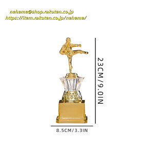�N���X�^���g���t�B�[ �o�o���� �Ŏ㉤ �O�����v�� �C�x���g���� SUMMER CAMP MVP �S���t�R���y �D�� ���s�S���t��y�� 1st place Healthy Poker Club tournament Season �J�@�L�O ���j�� Dance Contest Gold Award �J