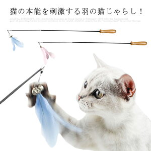 LpLkXeBbN^CvtL炵  L炵 ފƂ炵 ˂炵  Zbg v[g  L̂ Lpi LObY ₷ L΂ފ