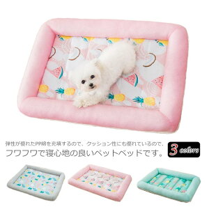 xbh ^ ^ ybgxbh p}bg 55x40cm ėp Ђ 􂦂 p }bg ⊴  NbV Lp  M V[g ΍ bV MTCY  ϊ ^ L